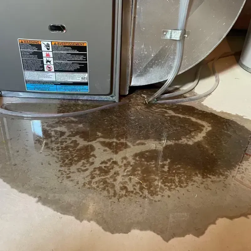 Appliance Leak Cleanup in Crocker, WA